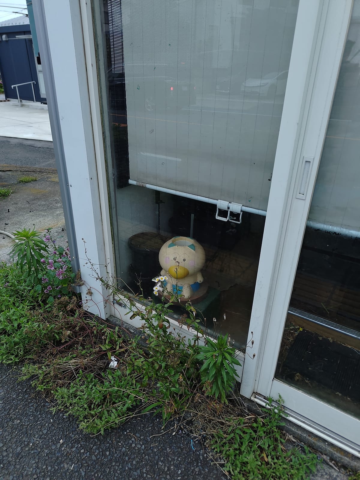確かにはなかっぱはまだ自分の花を決めていないから選び放題ではあるけどさあ、だからといってくり抜くのはどうなの。