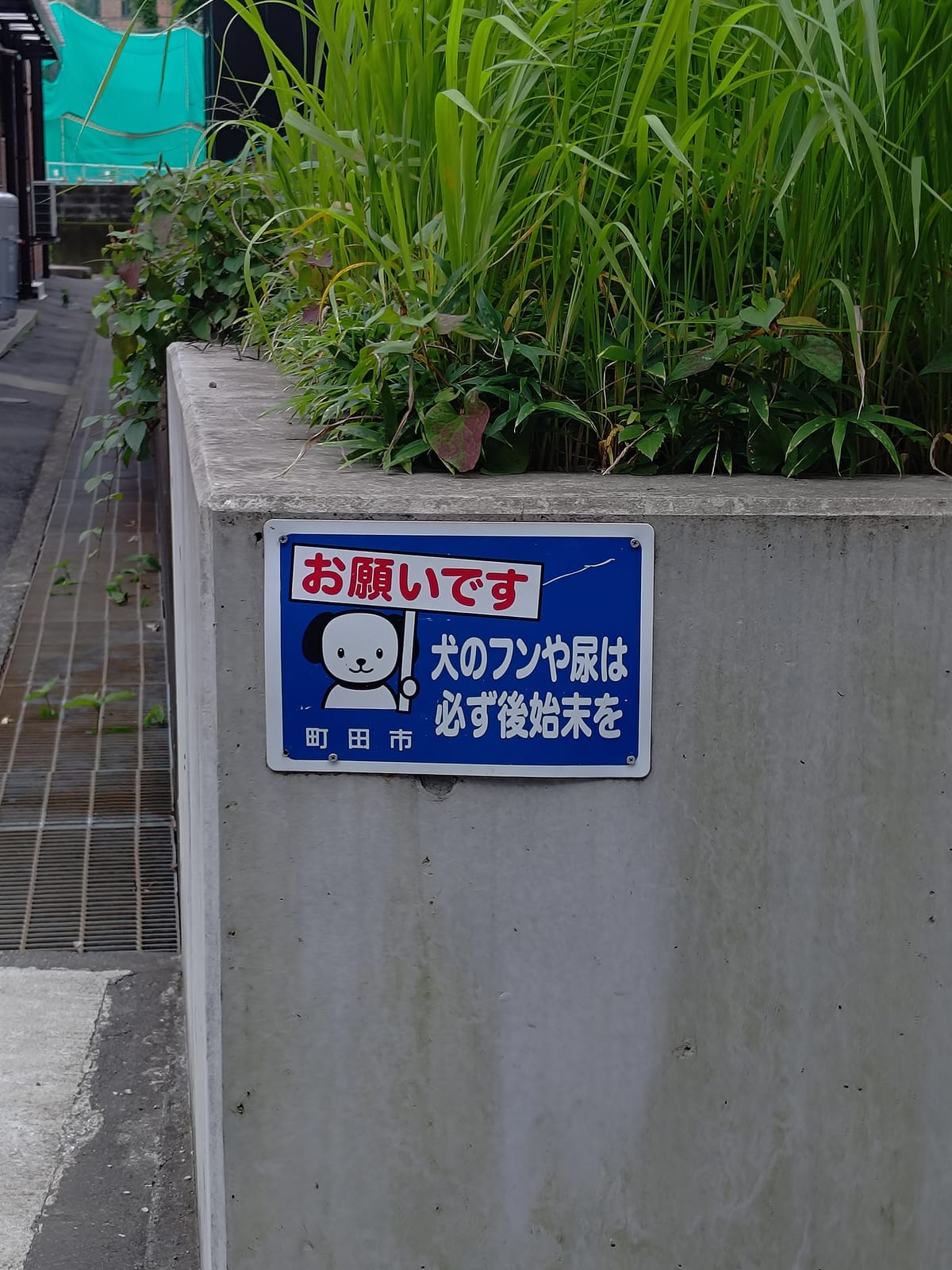 町田市は犬に飼い主を叱らせがち