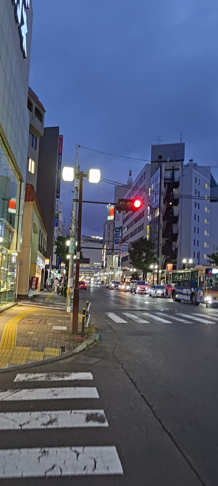 1時間くらい歩いて町田に帰ってきた