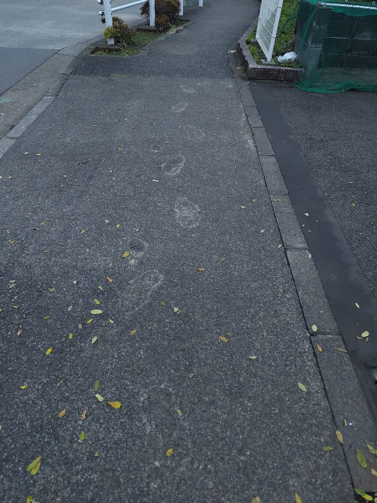 コンクリート生乾きでふんじゃったやつだ