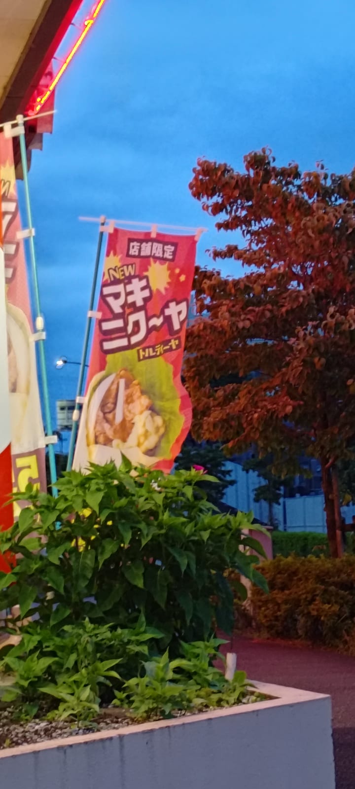 巻いた肉、マキニクーヤ