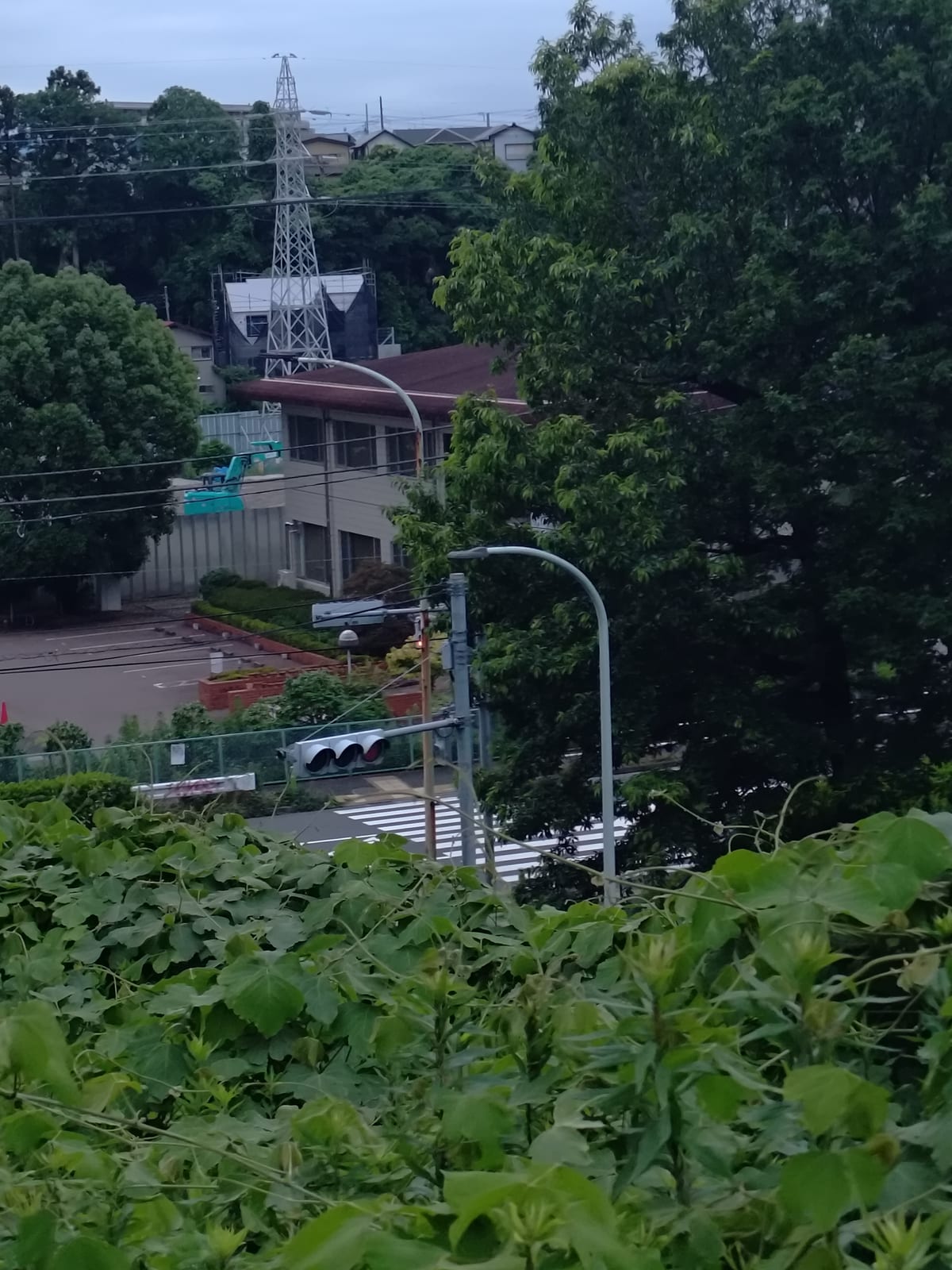 丘を上がった時の景色 ちょっと小高い