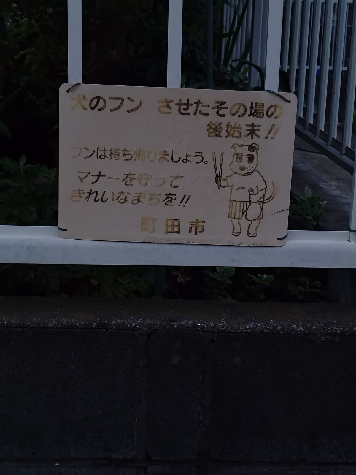 町田市は犬に飼い主を叱らせがち2