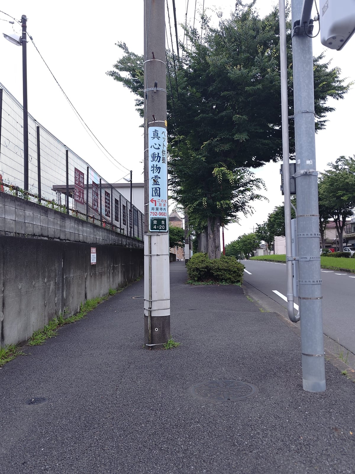 歩道として終わりすぎている電柱 主張が激しい電柱