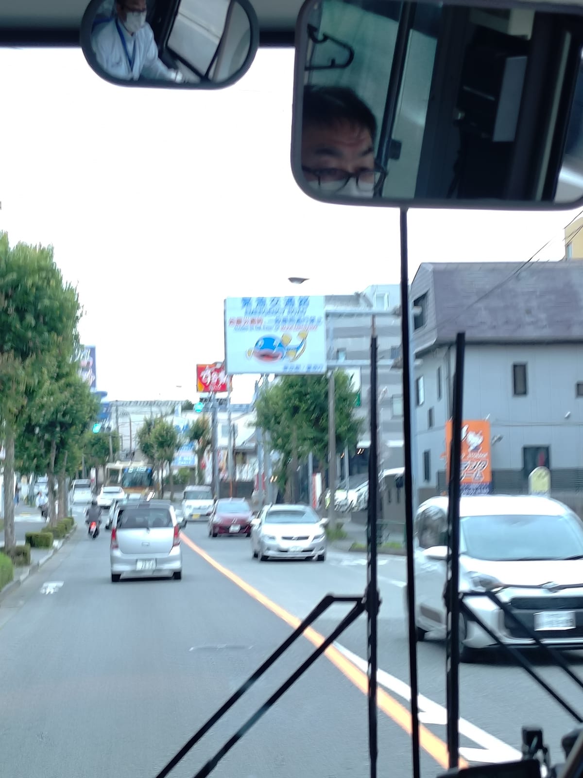 緊急交通路のなまず好き 南大沢にもいる