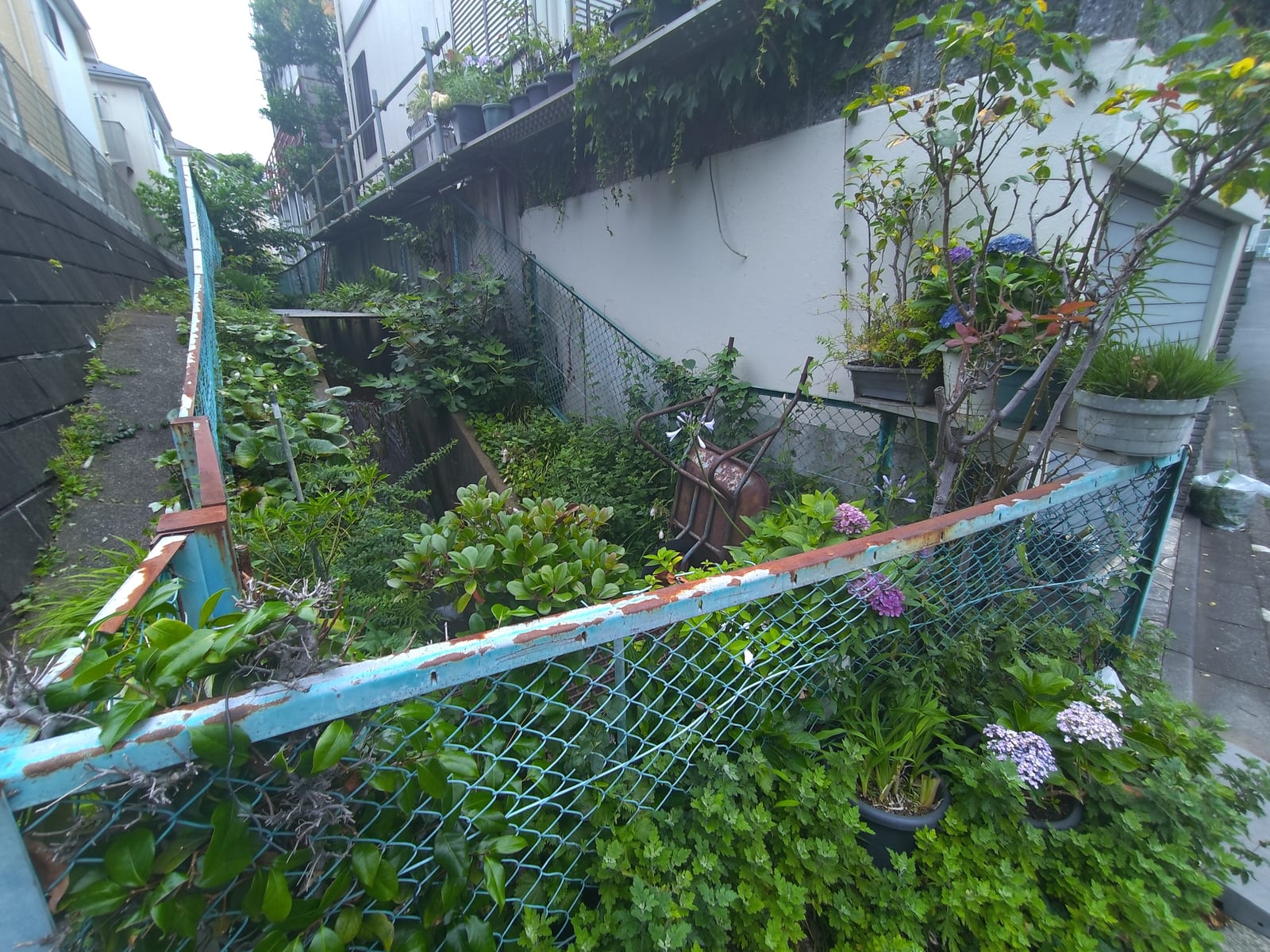 河川不法占拠ビオトープ