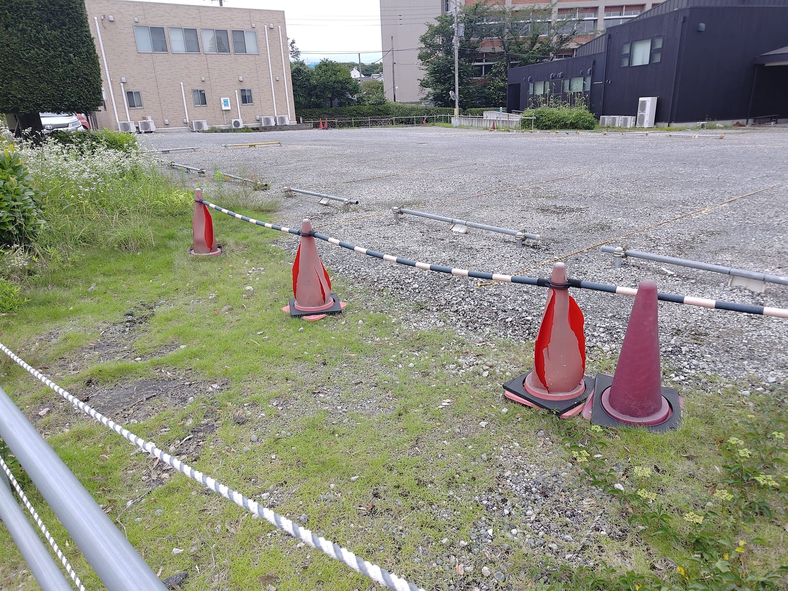 脱皮してるカラーコーン、脱皮コーン