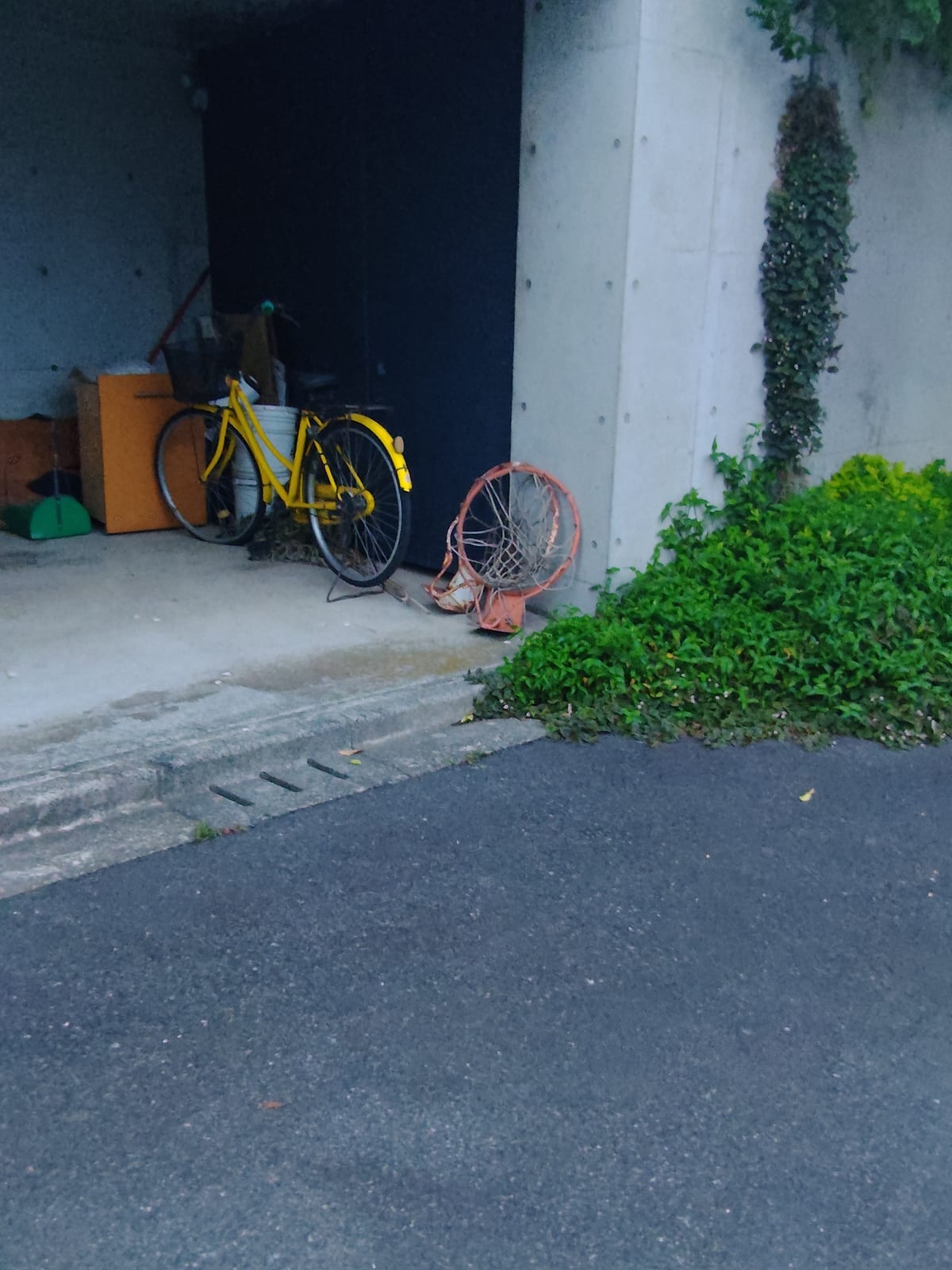 バスケットゴールの成れの果て