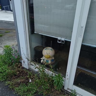 確かにはなかっぱはまだ自分の花を決めていないから選び放題ではあるけどさあ、だからといってくり抜くのはどうなの。