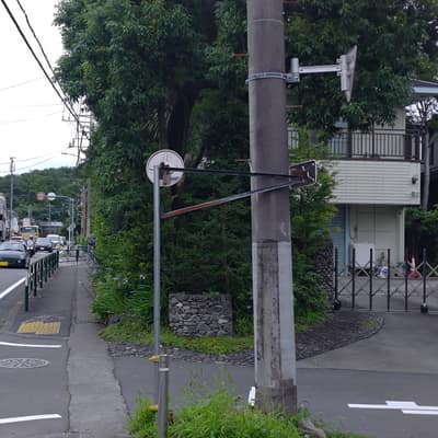 ミラーカッコいい付き方してる