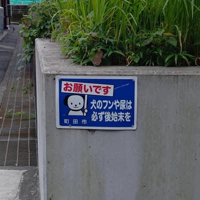 町田市は犬に飼い主を叱らせがち