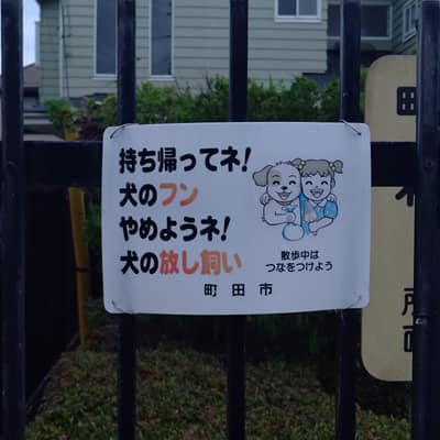 町田市は犬に飼い主を叱らせがち3