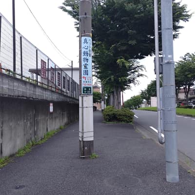 歩道として終わりすぎている電柱 主張が激しい電柱
