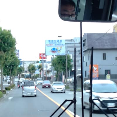 緊急交通路のなまず好き 南大沢にもいる