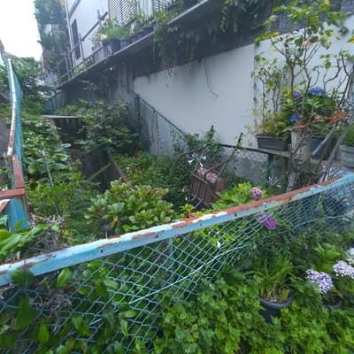 河川不法占拠ビオトープ
