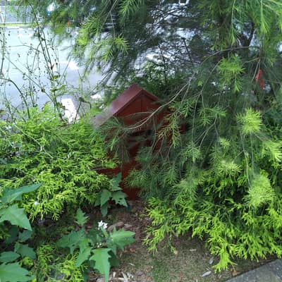 家 何がために